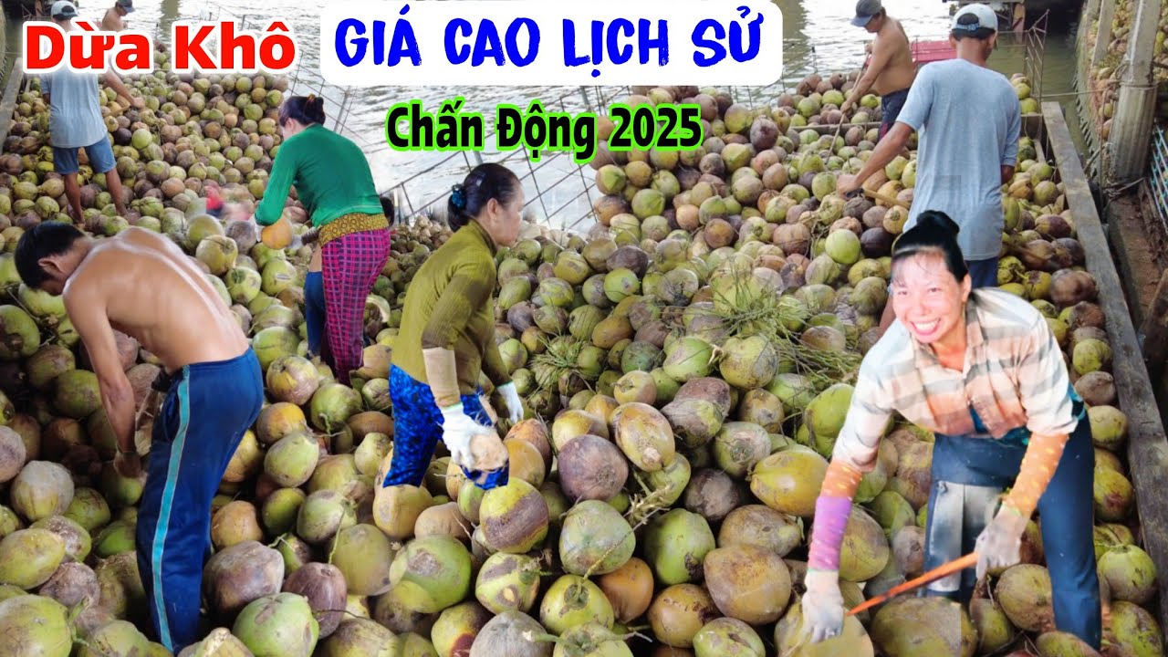 Kinh khủng giá Dừa khô