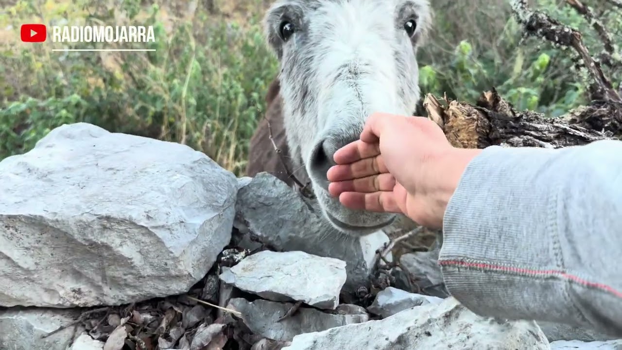 El conmovedor final del mundo Marlboro 