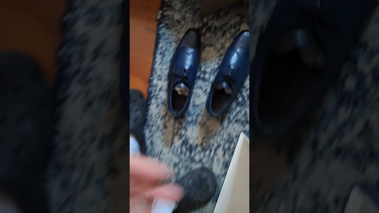 Girotti shoes unboxing single-handedly