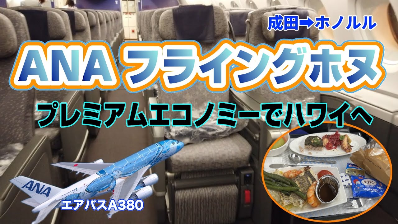 ANAフライングホヌでハワイへ！プレエコ搭乗レビュー【ゆったり快適な空の旅】