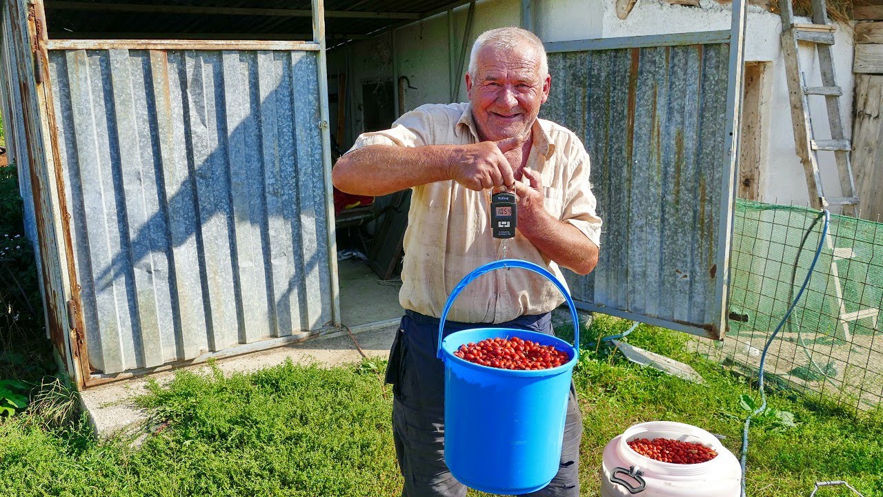 Sve bi dao da mi jedno unuče leta ovda a ne po inostranstvu