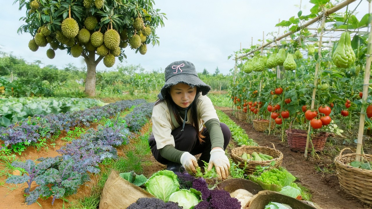 Harvest Napa Cabbage, Purple Kale, Durian, Tomatoes, Chayote To Sell & Cook With Them - Build Farm