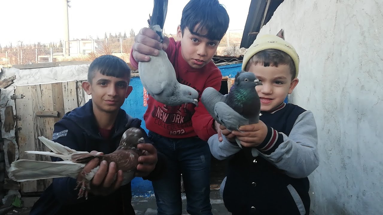 Bingöllü Fıratın Kuşları. Balıkçı Mahonun Ezeli Rakibi. Dilovası Kuşçuları.