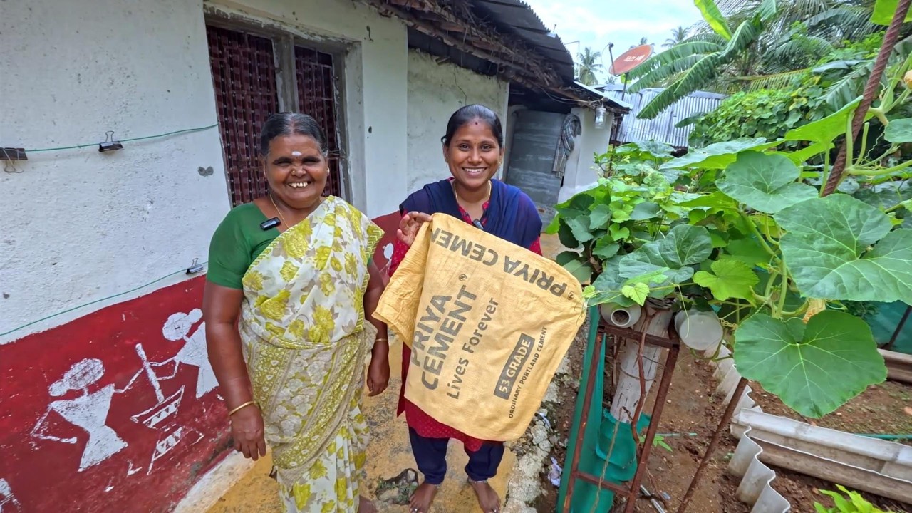 நம்ம வீட்டுல காலிபிளவர் உருளை கிழங்கு  நடவு செஞ்சாச்சு  ரொம்ப நாள் ஆசை.. 😍| indiakutty