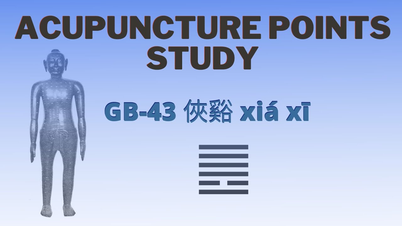 Acupuncture point study GB-43 俠谿 xiá xī