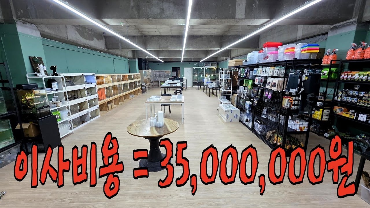 이 불경기에 더 넓은곳으로 확장이전한 정신나간 파충류샵