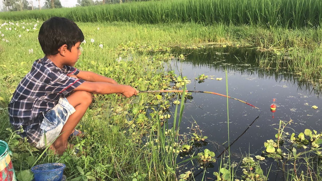 Little boy hunting catching koi fish by rod ~ Traditional hook fishing in the village canal 🥰🥰