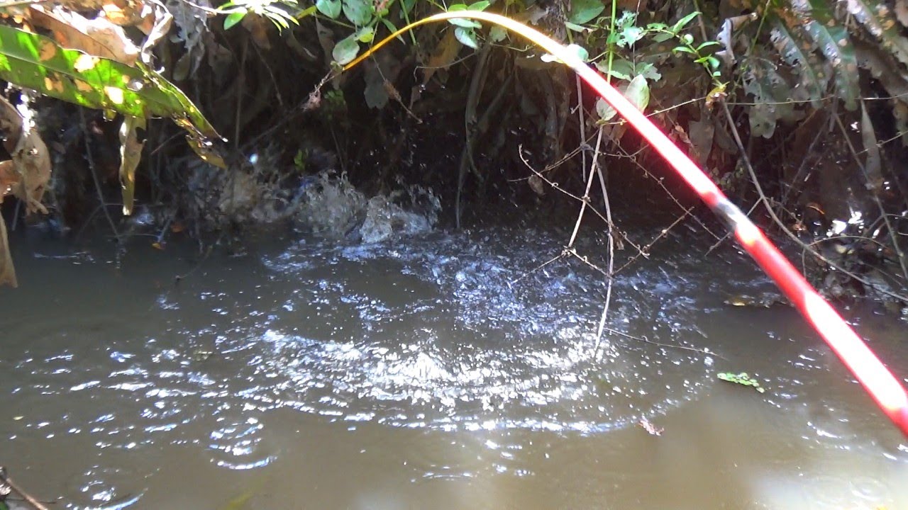 SPOT Yang begini bikin pemancing geleng geleng kepala.