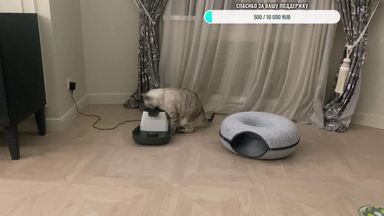 Добрый вечер