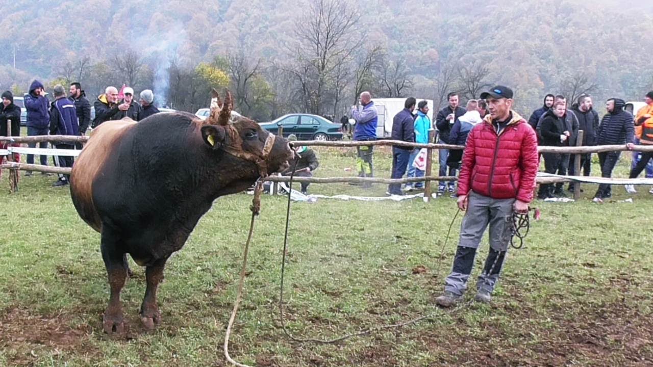 Humanitarno druženje Kakanj Tičići