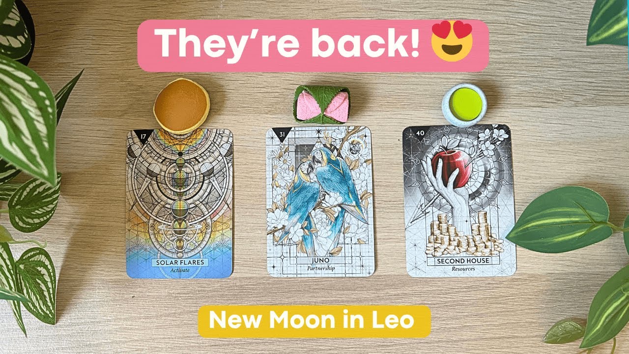 Expect Miracles 🥰 Someone/Something Makes a Comeback 💖 New Moon in Leo Tarot Reading