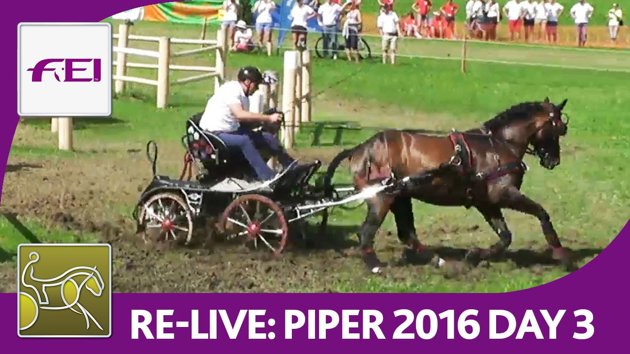Re-Live | FEI World Championships For Single Driving | Marathon | Piber 2016