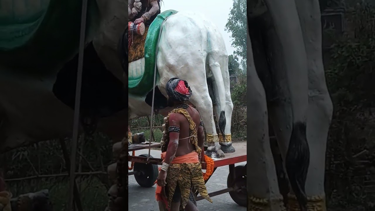 Hindu Sanatan Yatra || Pakadi Vir Bhadra 