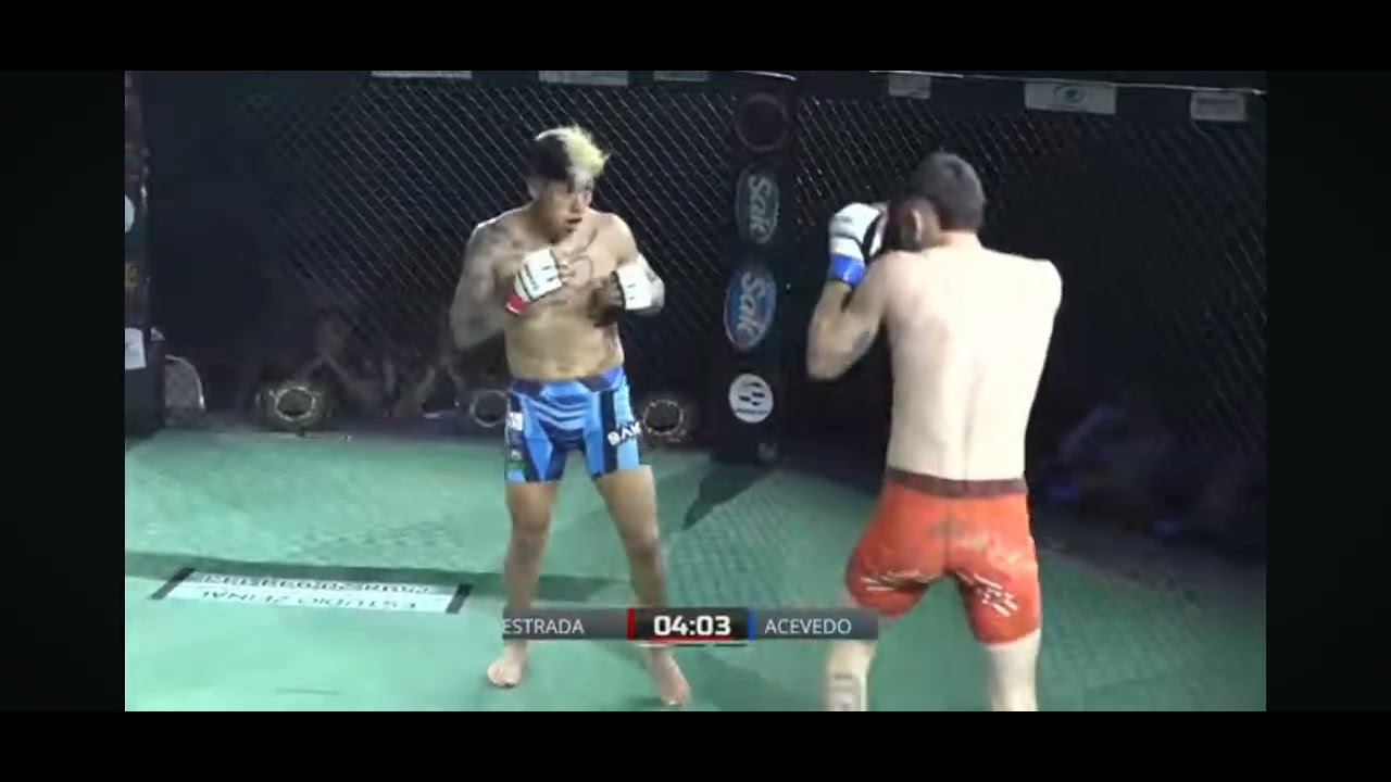 PELEA DE MICHAEL ESTRADA TRIUNFO  ECUATORIANO 