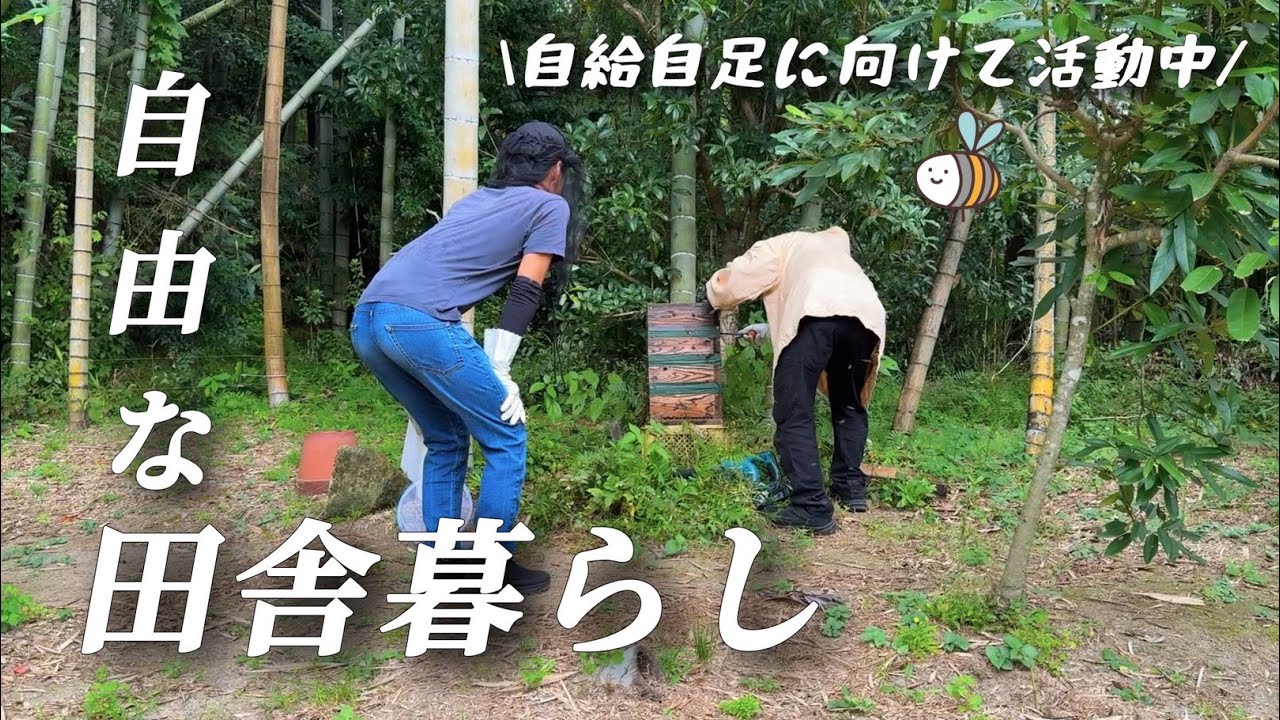 【田舎暮らし】素人が軽装でハチミツ採りに挑んだ結果‥/自給自足に向けて勉強中【移住110】