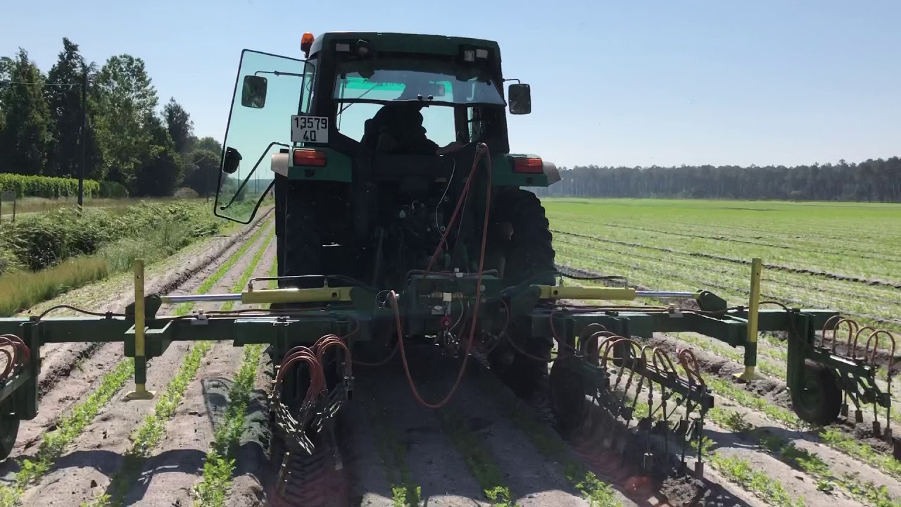 Desherbage thermique sur carotte plein champ, encore une machine 2EBALM en service