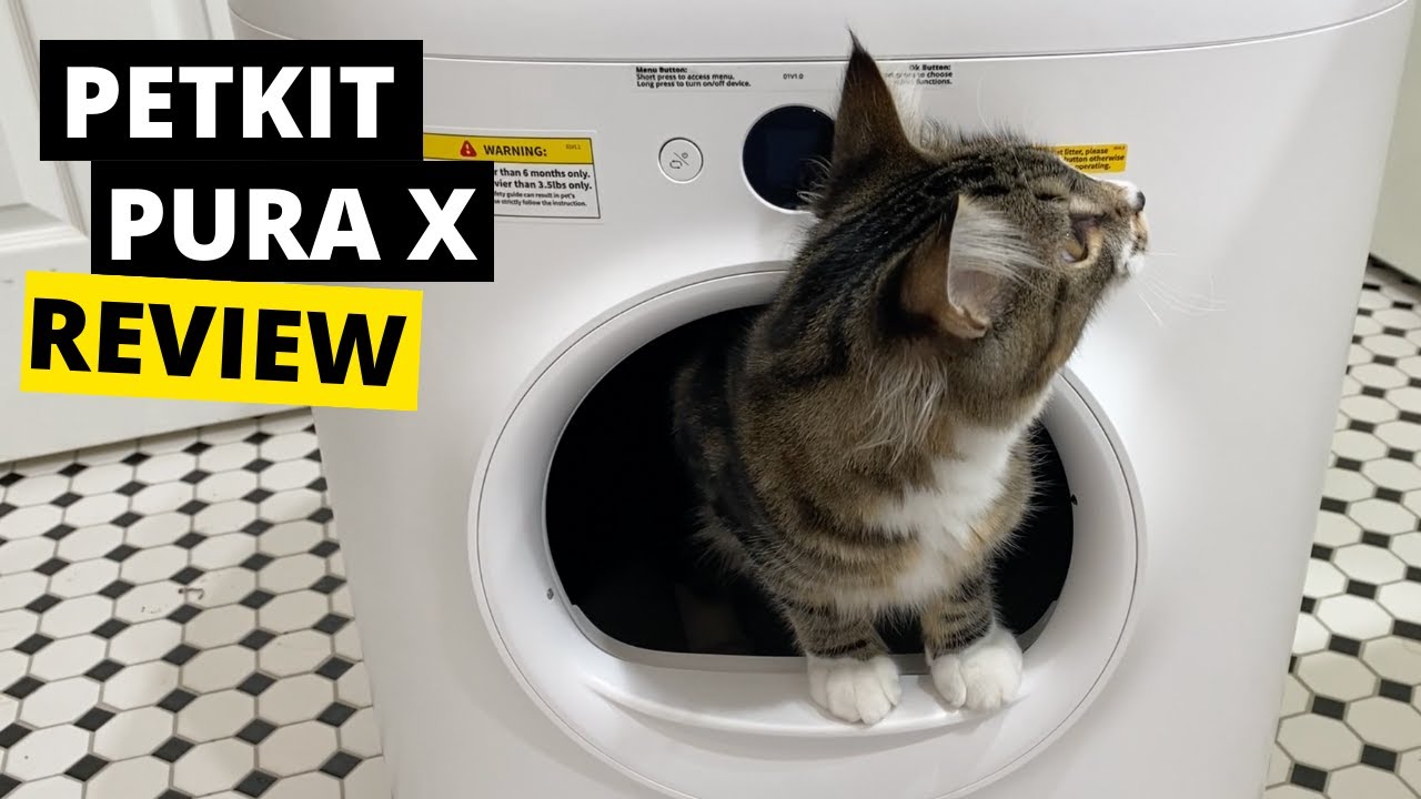 Petkit PuraX Self Cleaning Cat Box Review: My Honest Thoughts