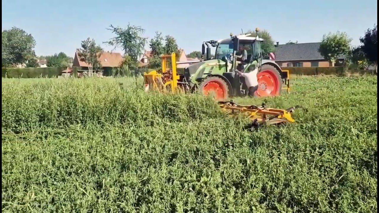 Ecimeuse SELAC 14M sur endives