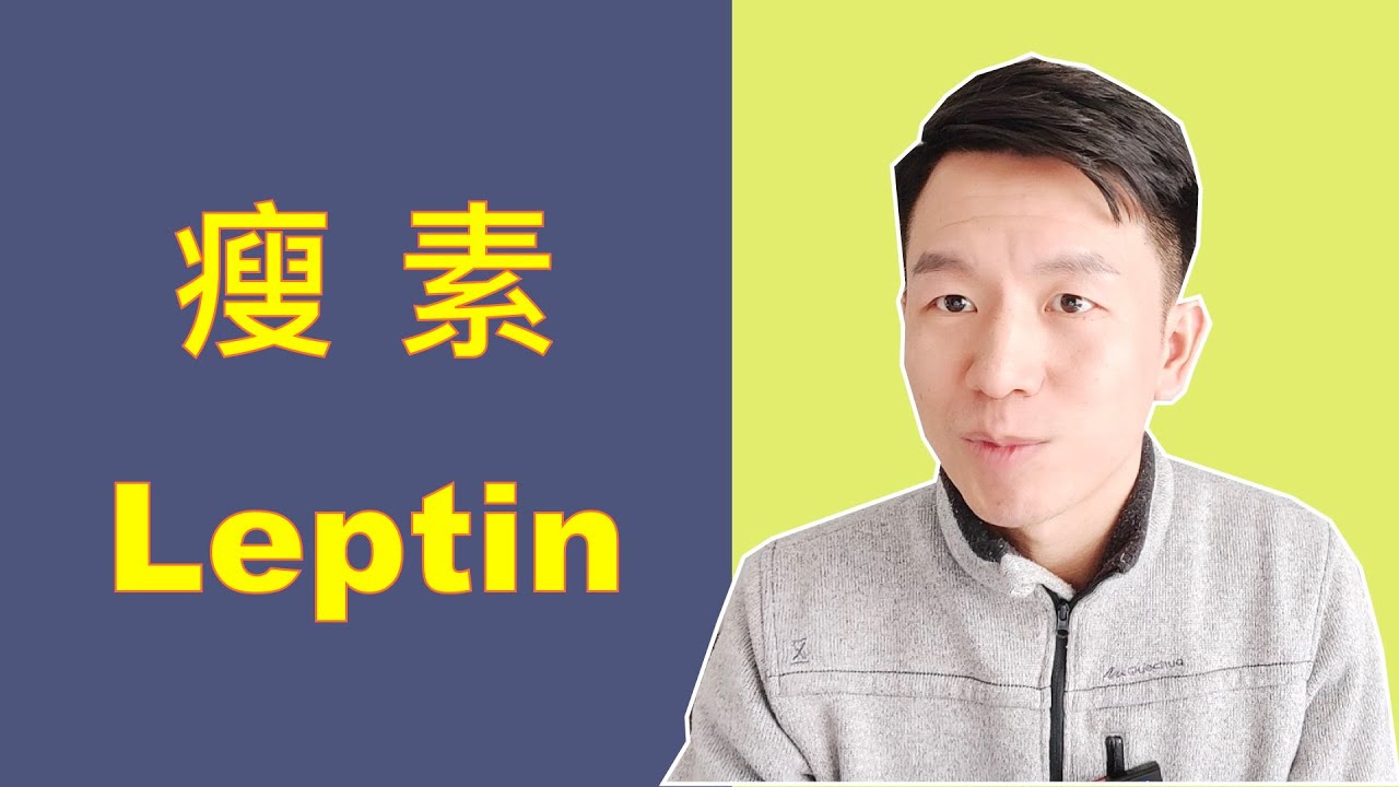 瘦素減肥，幫你控制食慾、分解脂肪、降低壓力