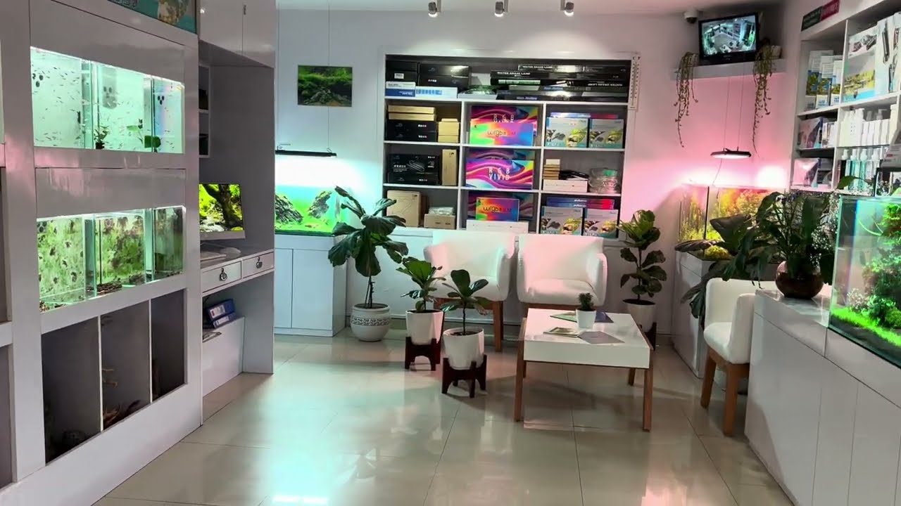 Explore Our Store: Aquarium Tour & Diverse Product Showcase