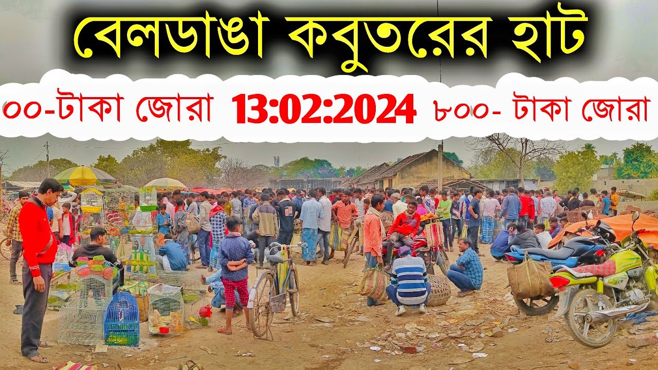 কবুতর হাট ২০২৪ | Beldanga Hat Murshidabad | Beldanga Pigeon Market 🕊