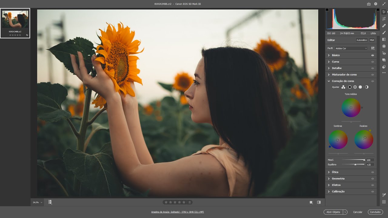Adobe Camera Raw (ACR) ajustes de entrada!