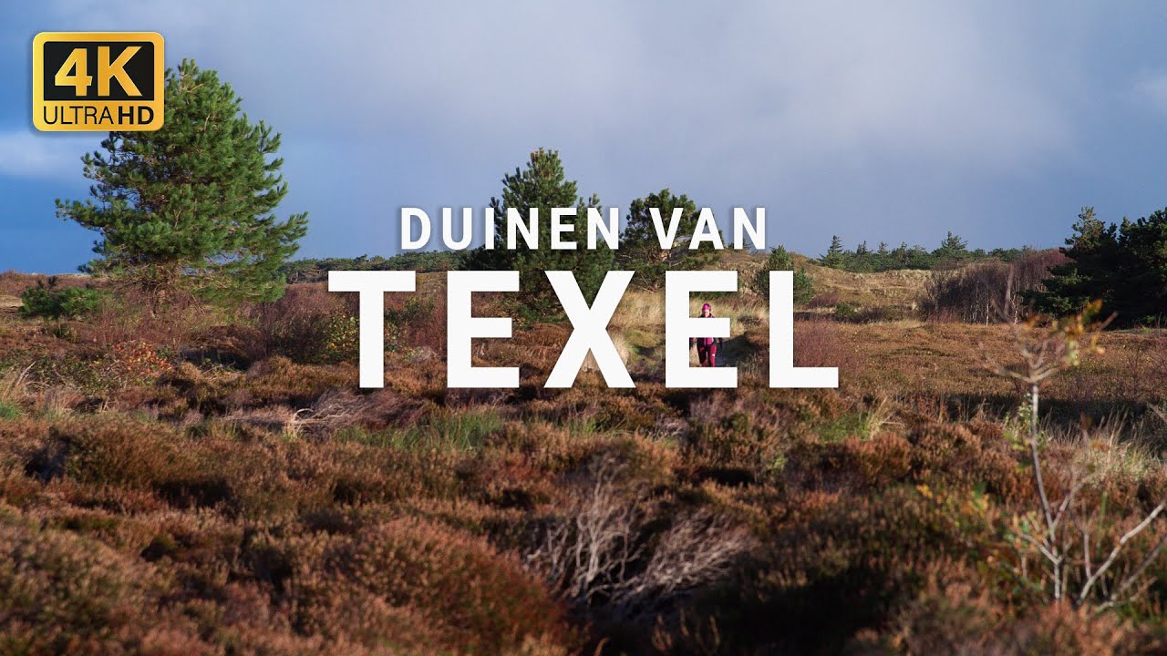 Duinen van Texel | Texel 4k | Relax video