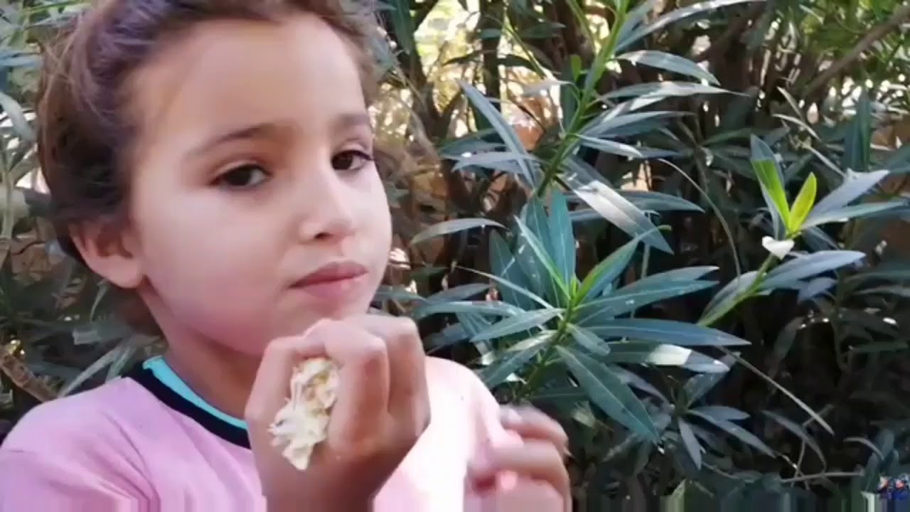 واومنة في ....🌲🌳🌿☘️