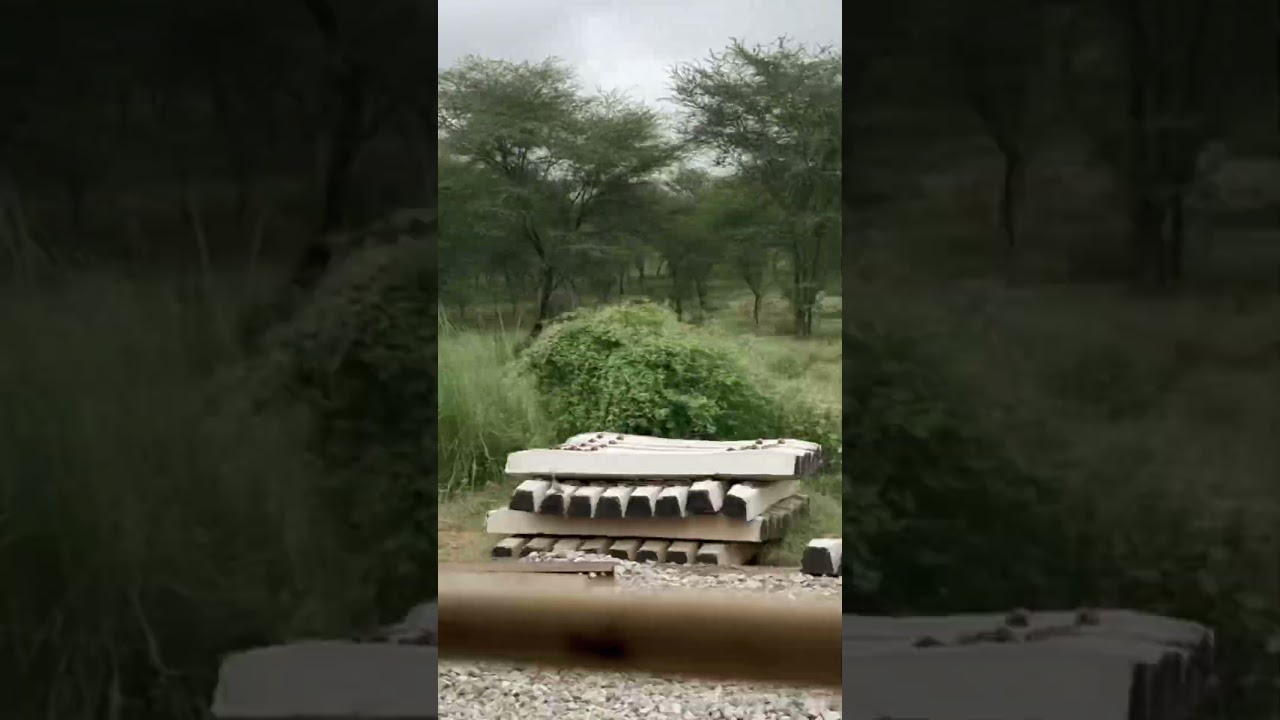 #shortsvideo