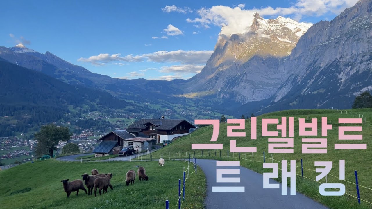 융프라우 안가고 37번 코스 걸어보기