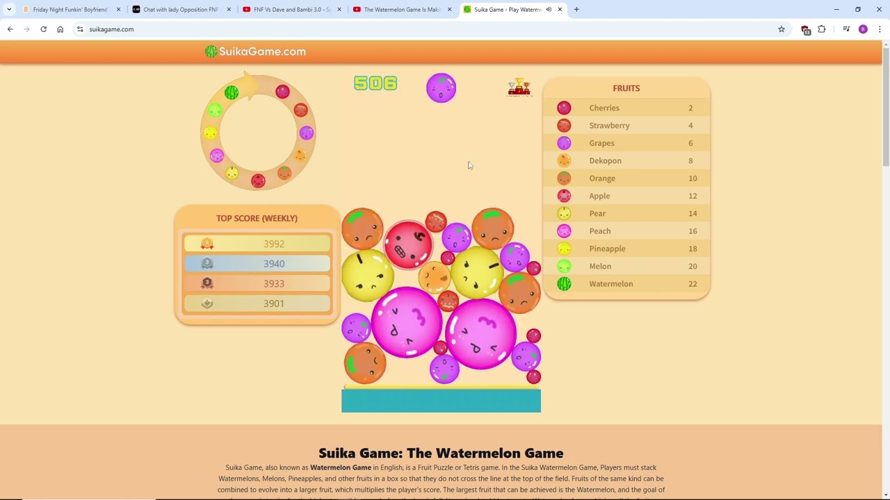 playing the suika game