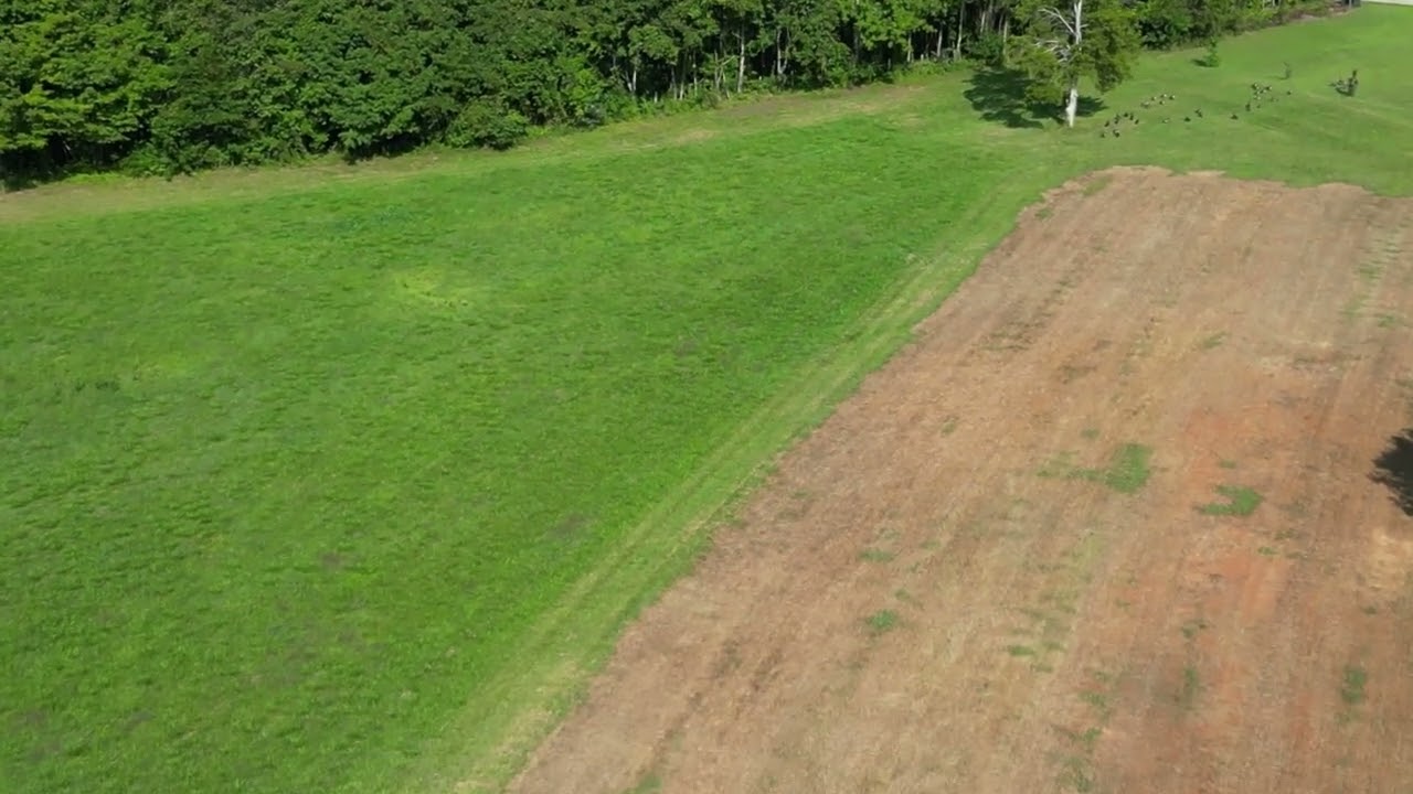 Pennies Do Make Dollars EVENTUALLY...DJI Mini 3 Pro Drone purchase.