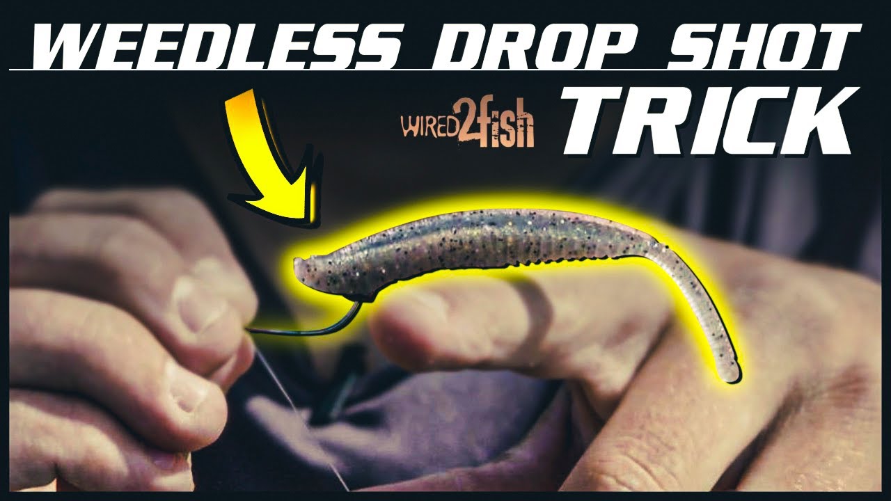 Rigging a WEEDLESS Drop Shot (Without Texas Rigging It)