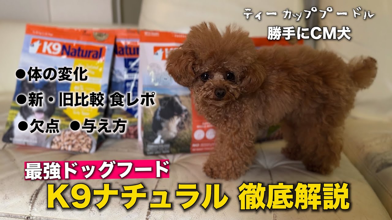これなら食べた！【K9ナチュラル】おすすめドッグフード