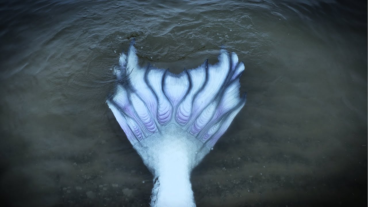 LAKE HURON MERMAID - Mermaid Sighting in Alpena Michigan (2021) Mermaid Phantom swims near a Factory
