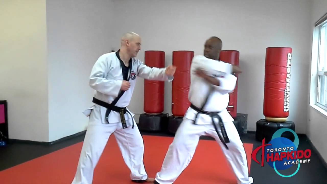 Hapkido - White Belt Requirements - Teaser | Martial Arts for Adults in Toronto