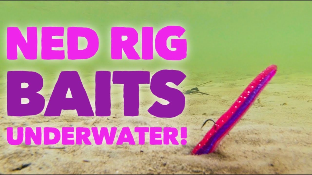 Ned Rig Baits ПОД ВОДОЙ! Какие приманки работают лучше всего?
