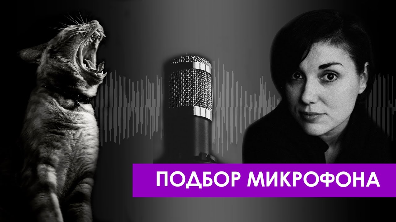 Как подобрать микрофон для съёмки