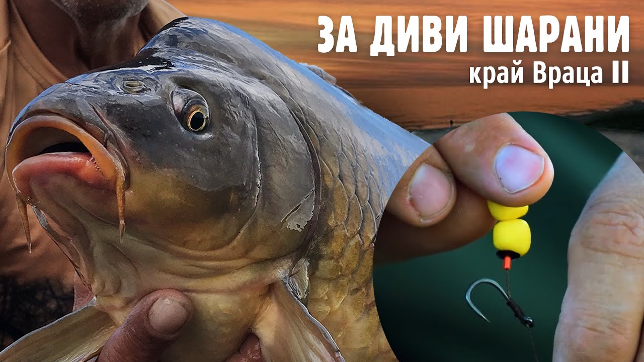 За ДИВИ ШАРАНИ край Враца - II част