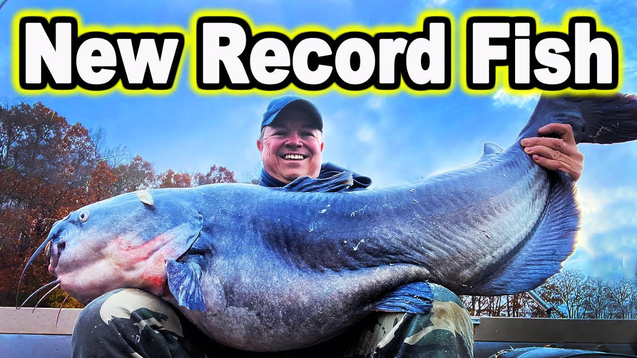 The Biggest Catfish of 2024