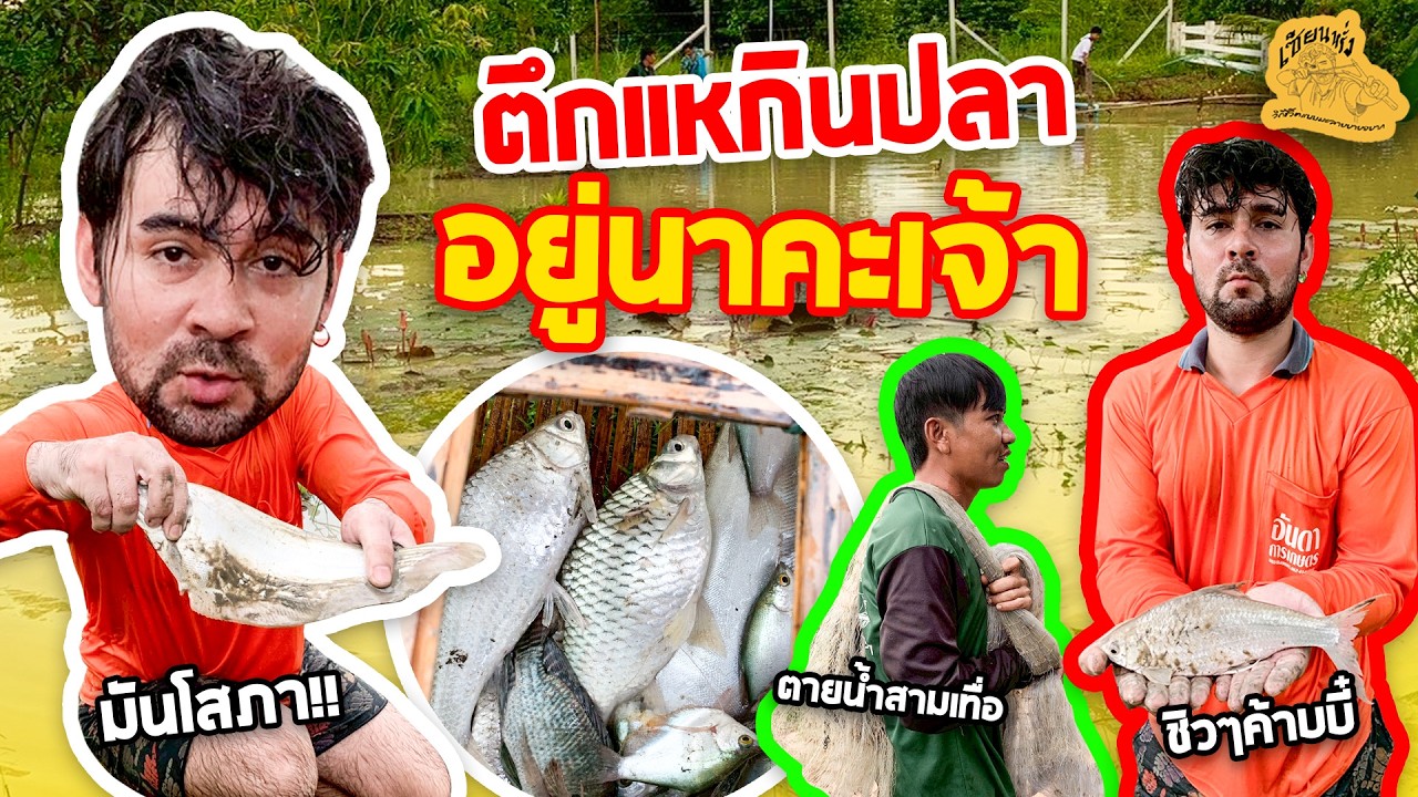 เซียนหรั่ง - วิถีชีวิตแบบมะลายยายอยาก l ตอน ตึกแหกินปลา อยู่นาคะเจ้า