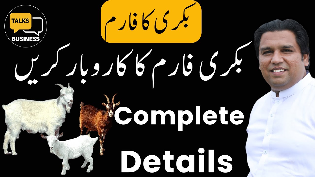 How to Start a Profitable Goat Farming Business in Pakistan | Complete Step-by-Step Guideline!!!
