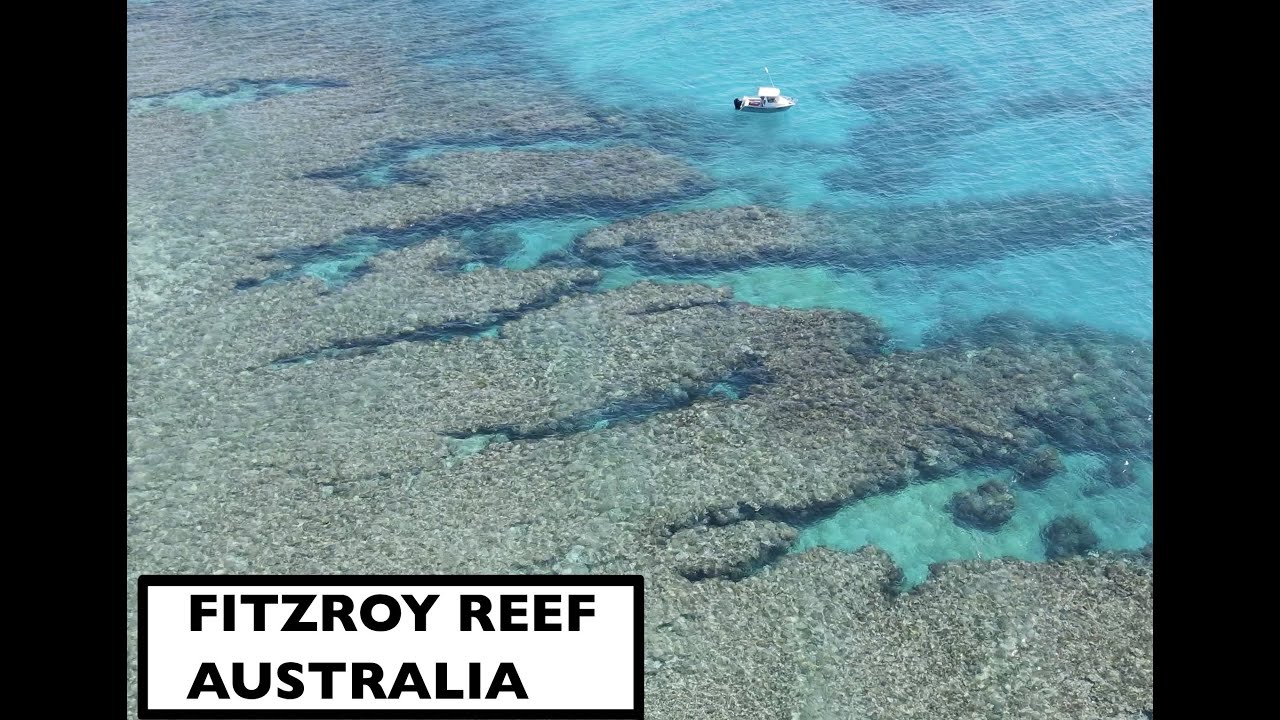 FITZROY REEF fishing, spearfishing and more! Check out its beauty