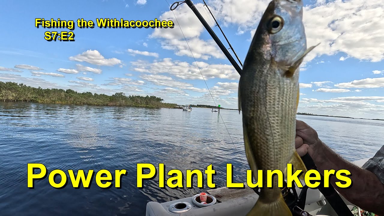 Fishing the Withlacoochee: S7E2, Power Plant Lunkers (4k60)