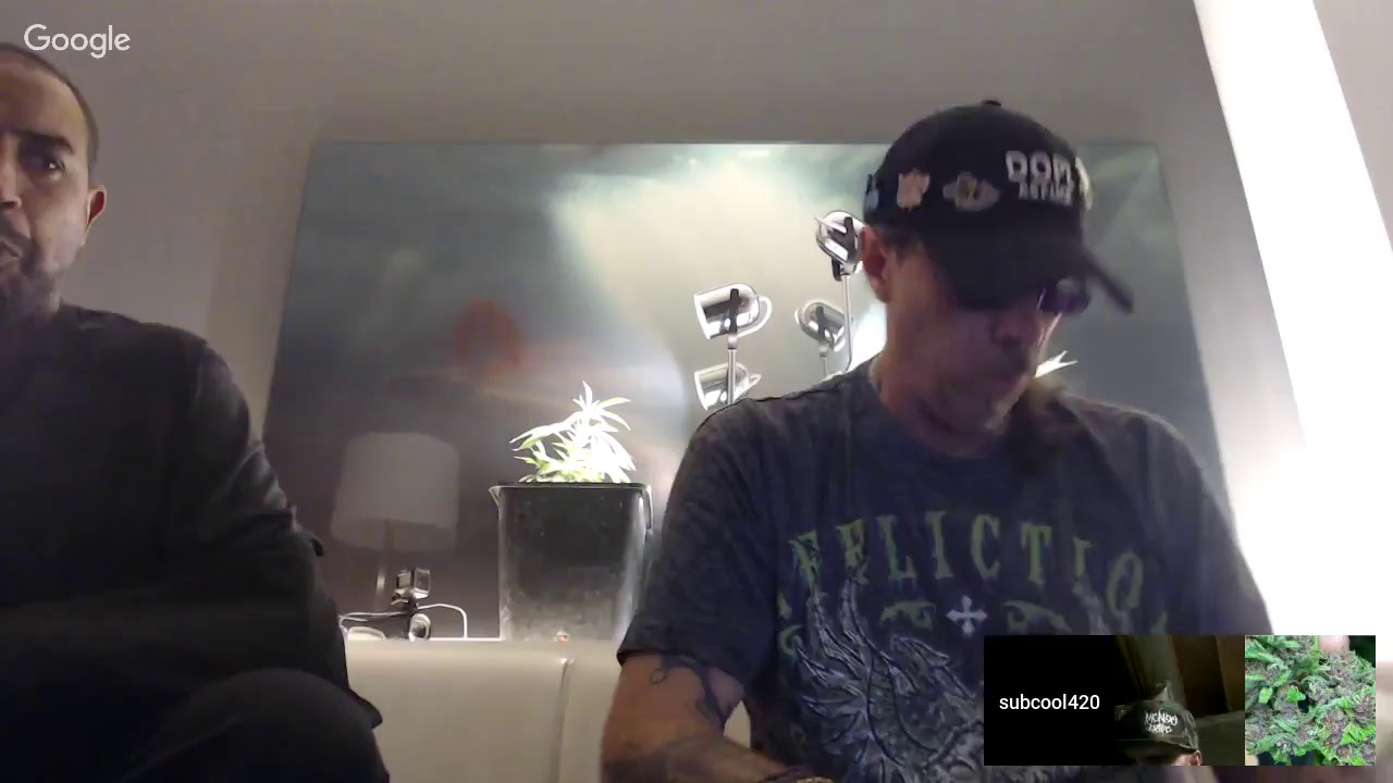 The Weed Nerd Live from LaLa Land