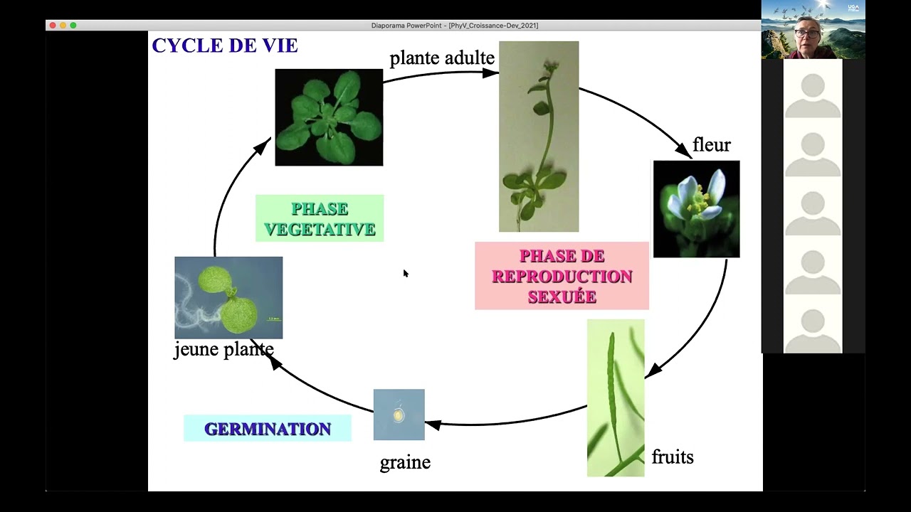 Croissance et Développement des plantes S5 | Partie 1
