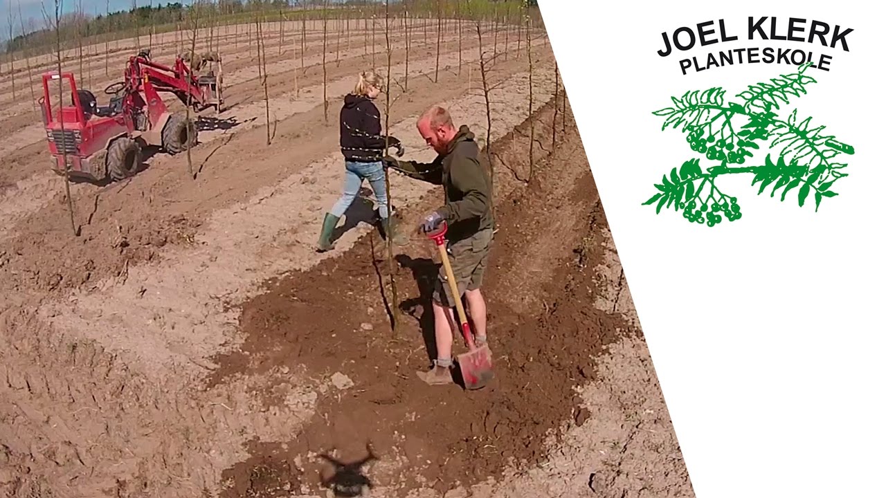 Planteskolen 2016