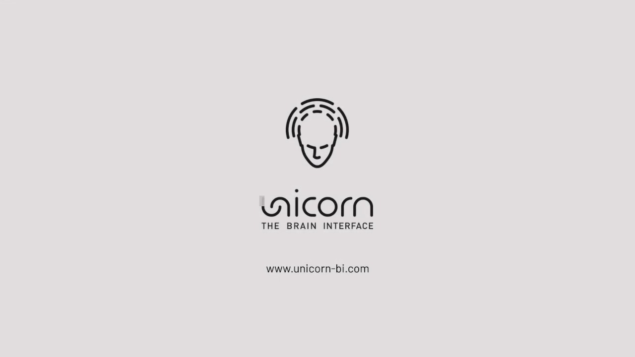 Unicorn Hybrid Black Tutorial: Simulink Interface
