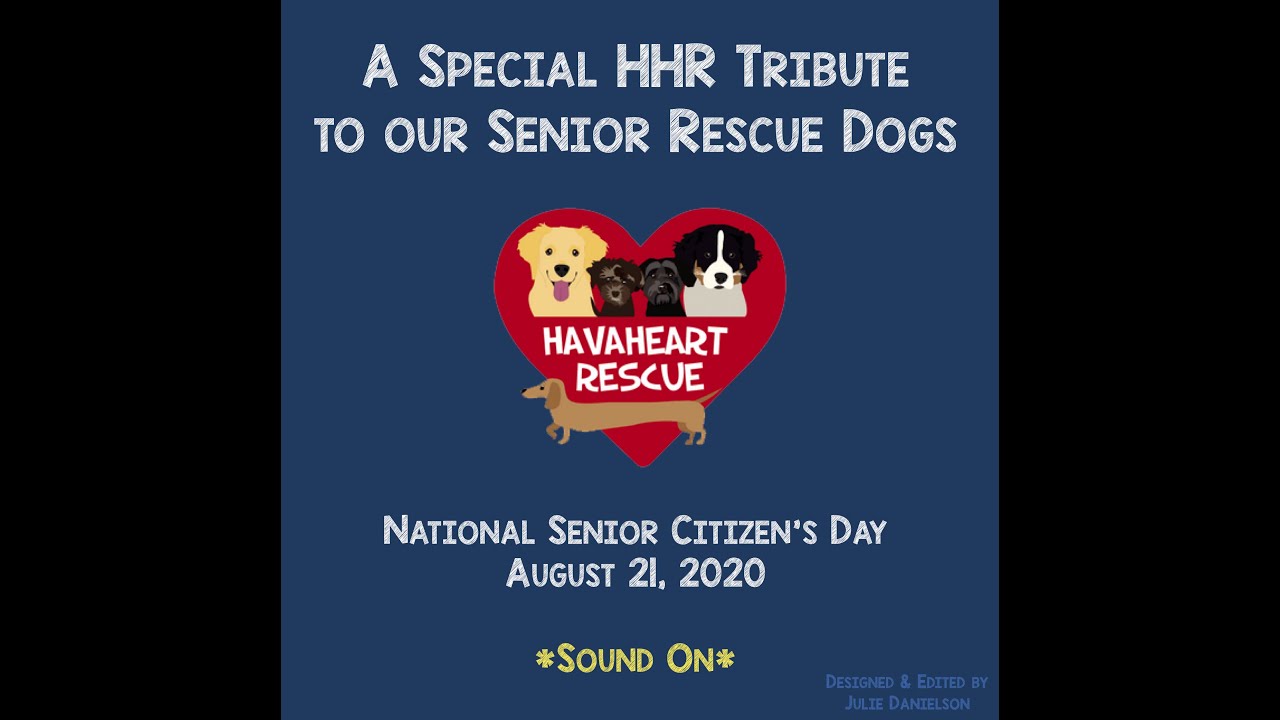 HavaHeart Rescue - Senior Dog Tribute Video (2020)