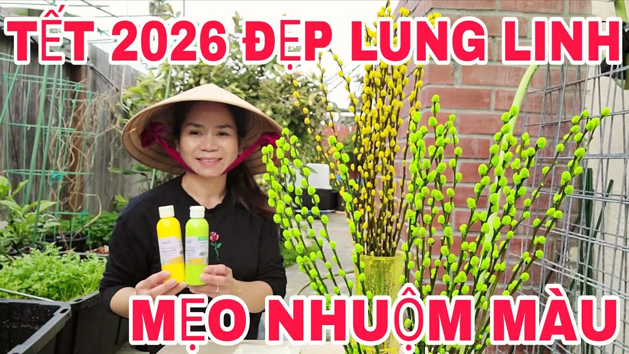 How to Dye Pussy Willows for Lunar New Year 🧧 (Trader Joe's Flower Budget Find)